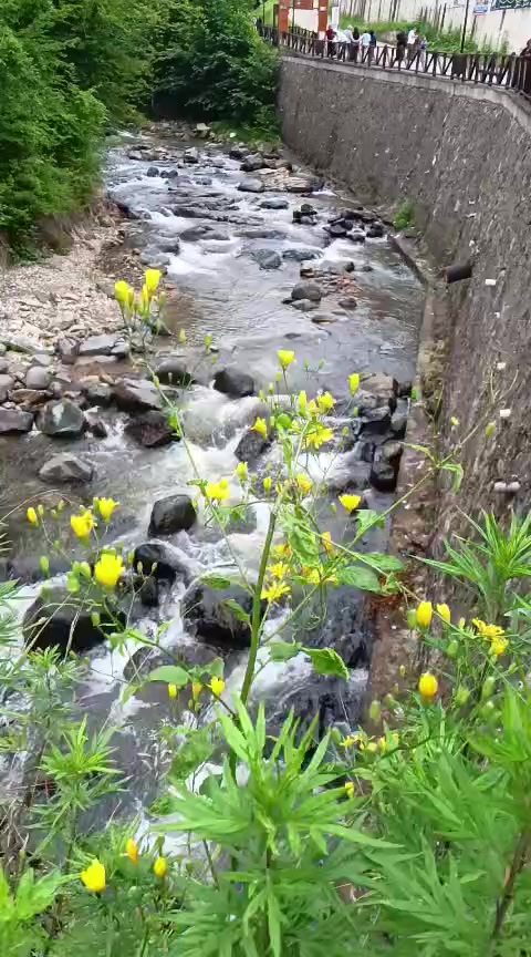@gül_ygt34