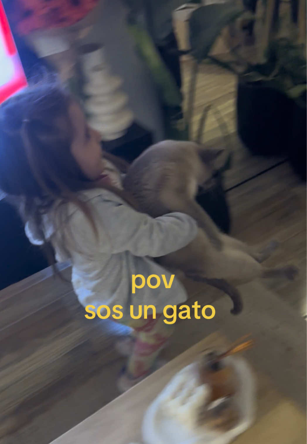 @Juli Suffia