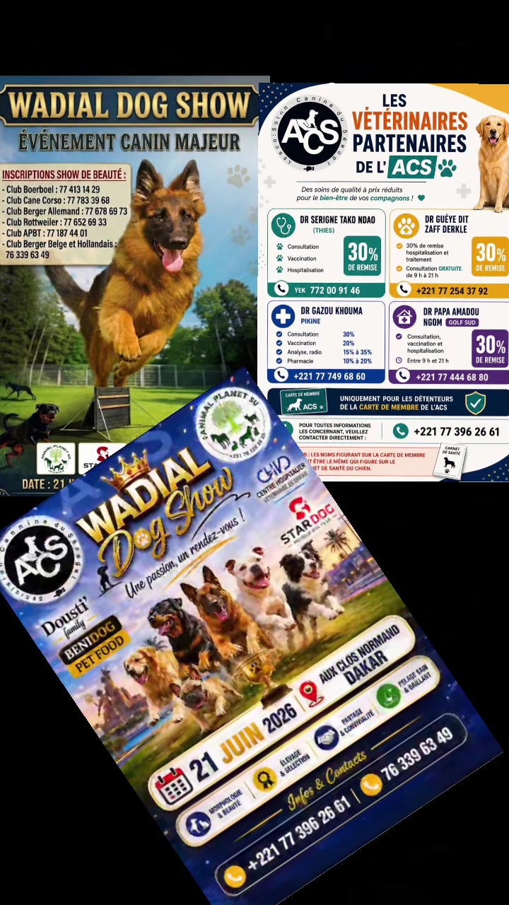 @Momoparleauxchiens🇸🇳🇩🇪
