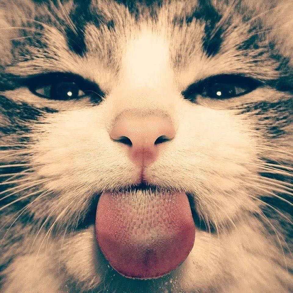 @𝐀𝐧𝐧🪽