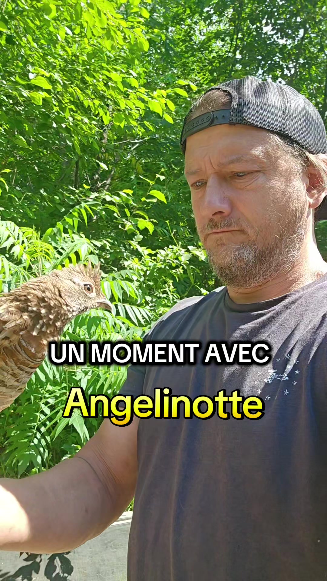 @Le Felin🐾