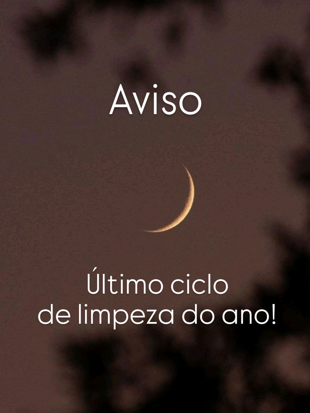 @Alana Lunar