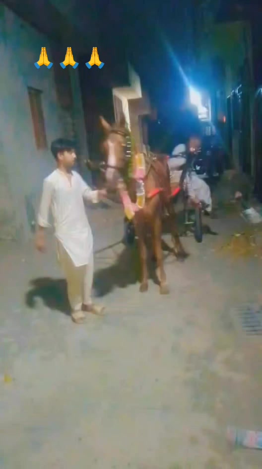 @Sajjad Ali 🐴🐴🐎