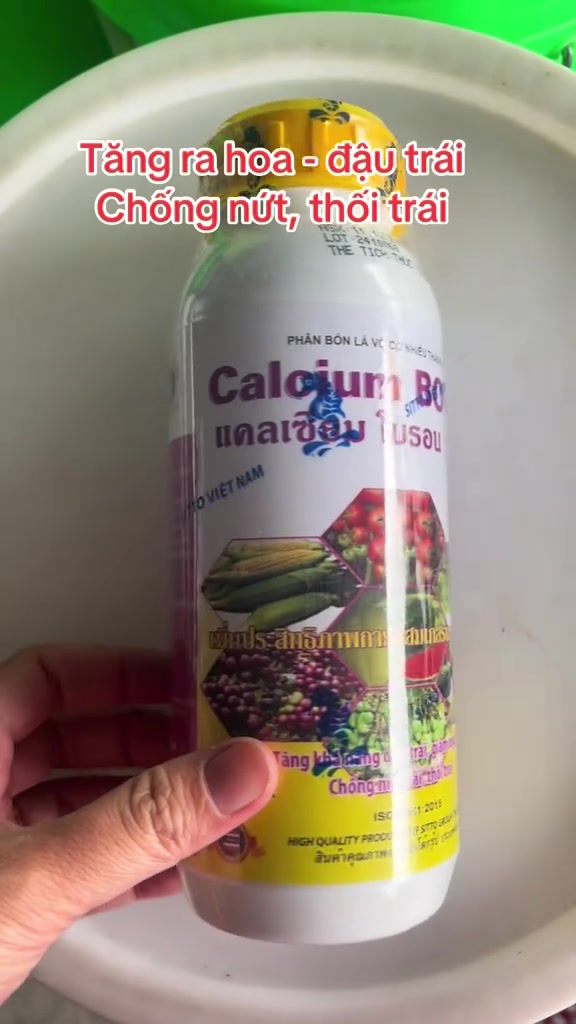 @VTNN Trung Hiếu 1