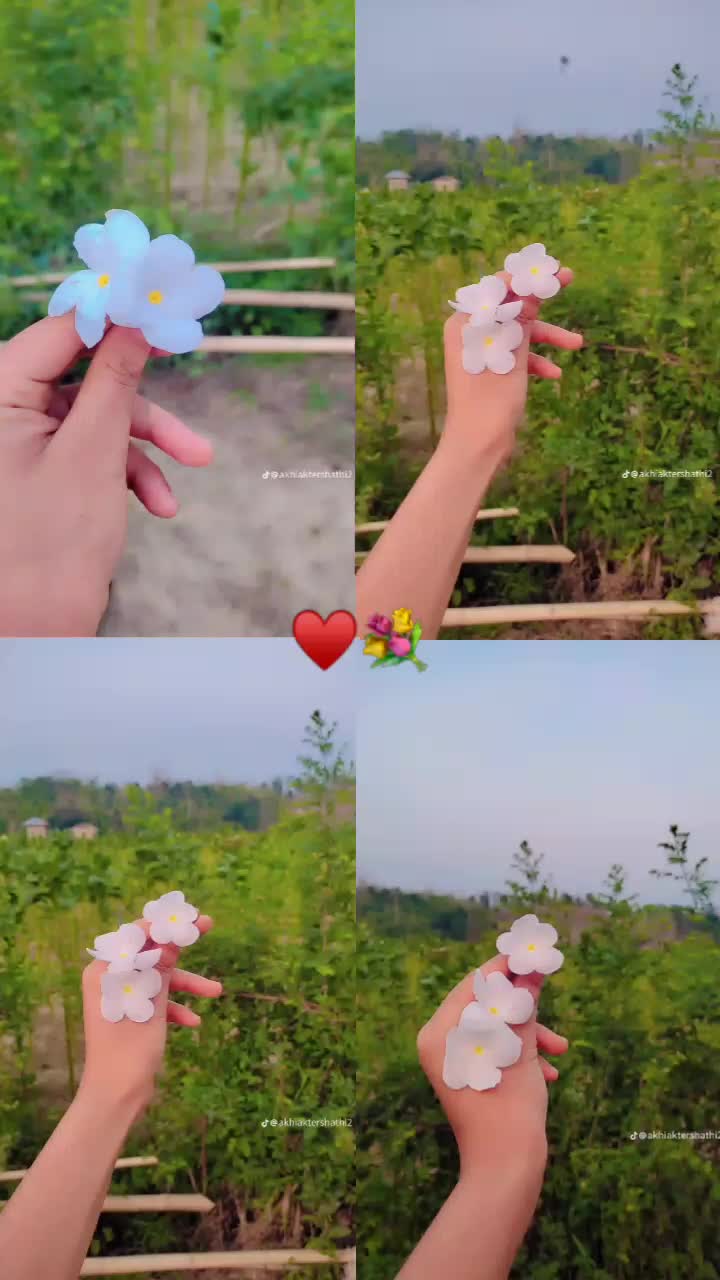 @abulhasanmolla29
