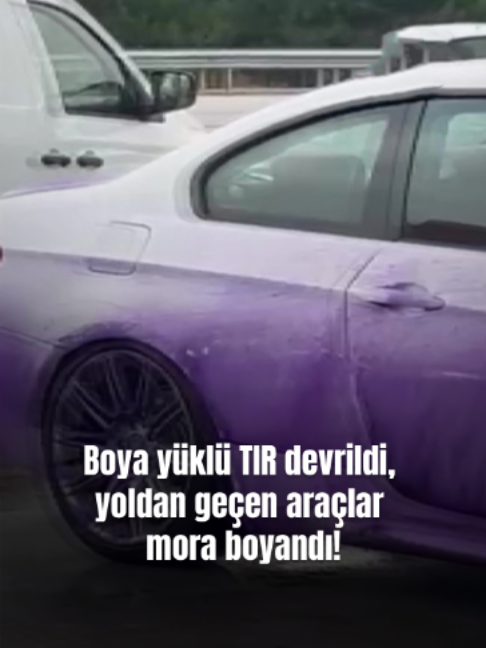 @Mynet