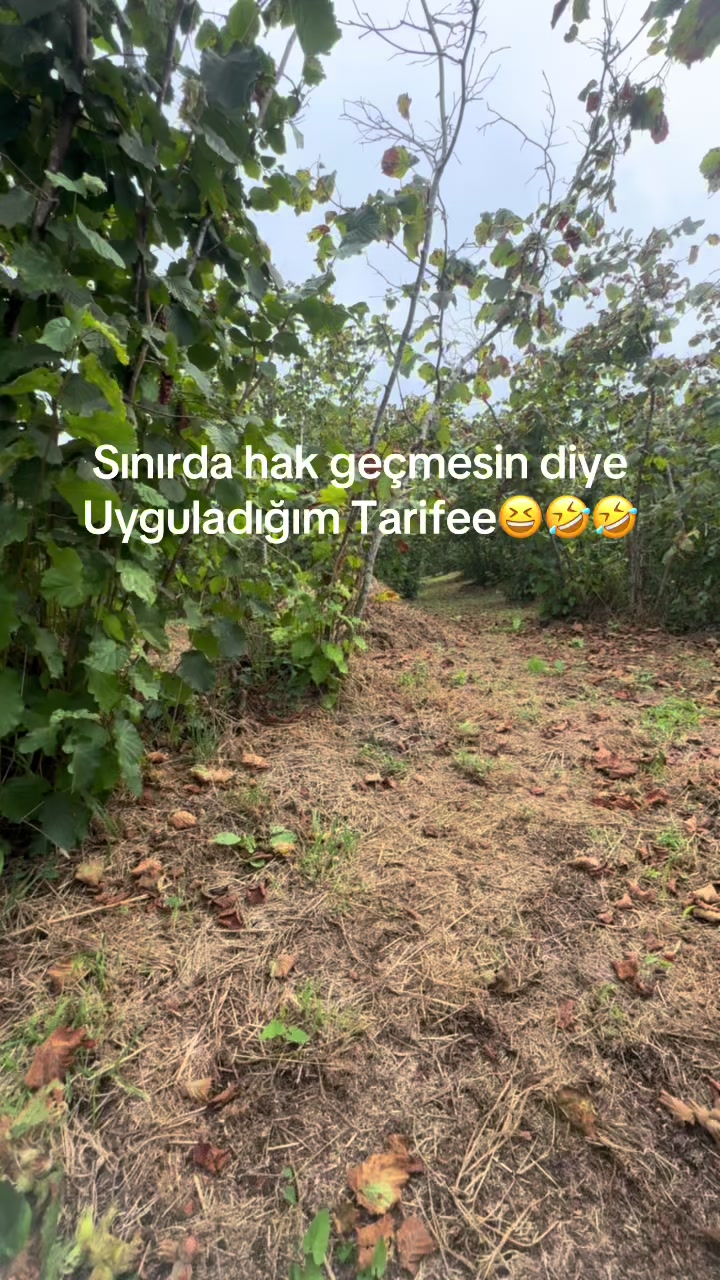 @betigogo_objektifinden📸