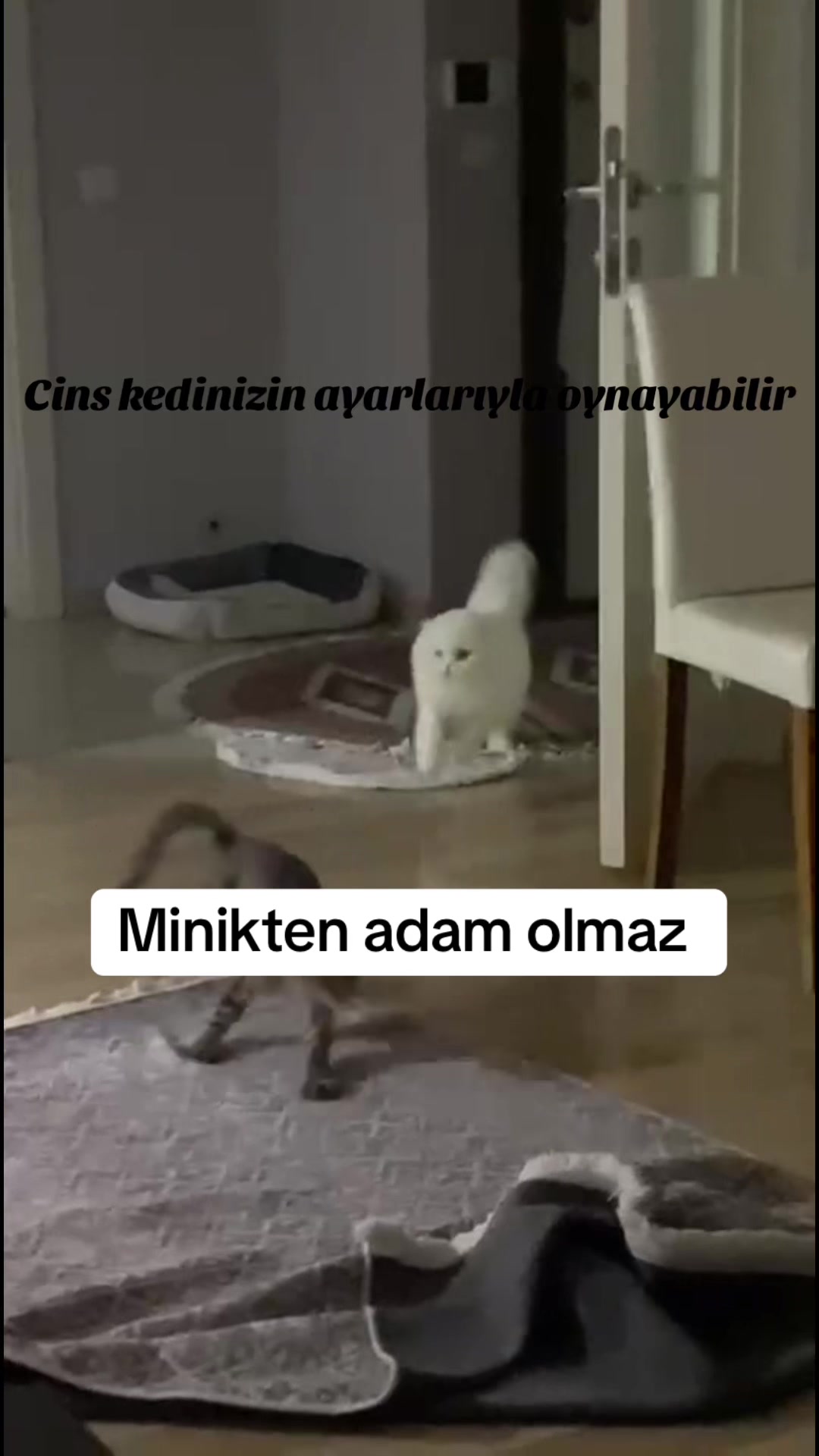 @yudummz_