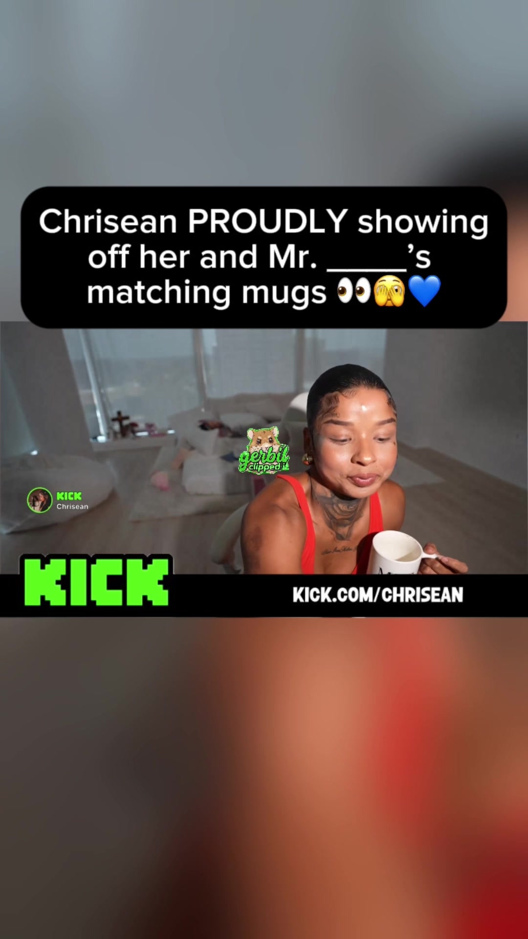 @gerbilclippedit