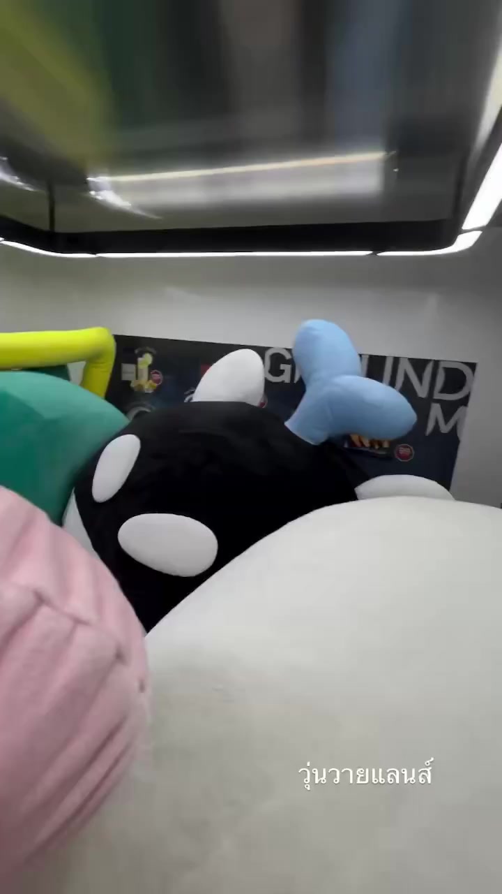 @๐๐๐ผ๐ผโ๐โ ๐ถโพ๏ธ๐ปโ๏ธ