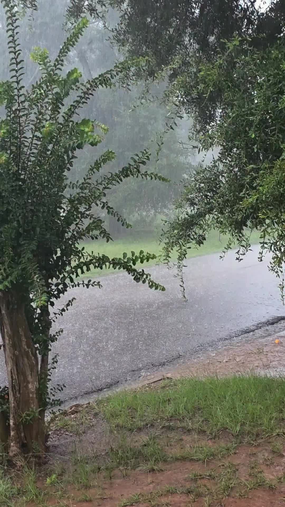 @ALABAMA
