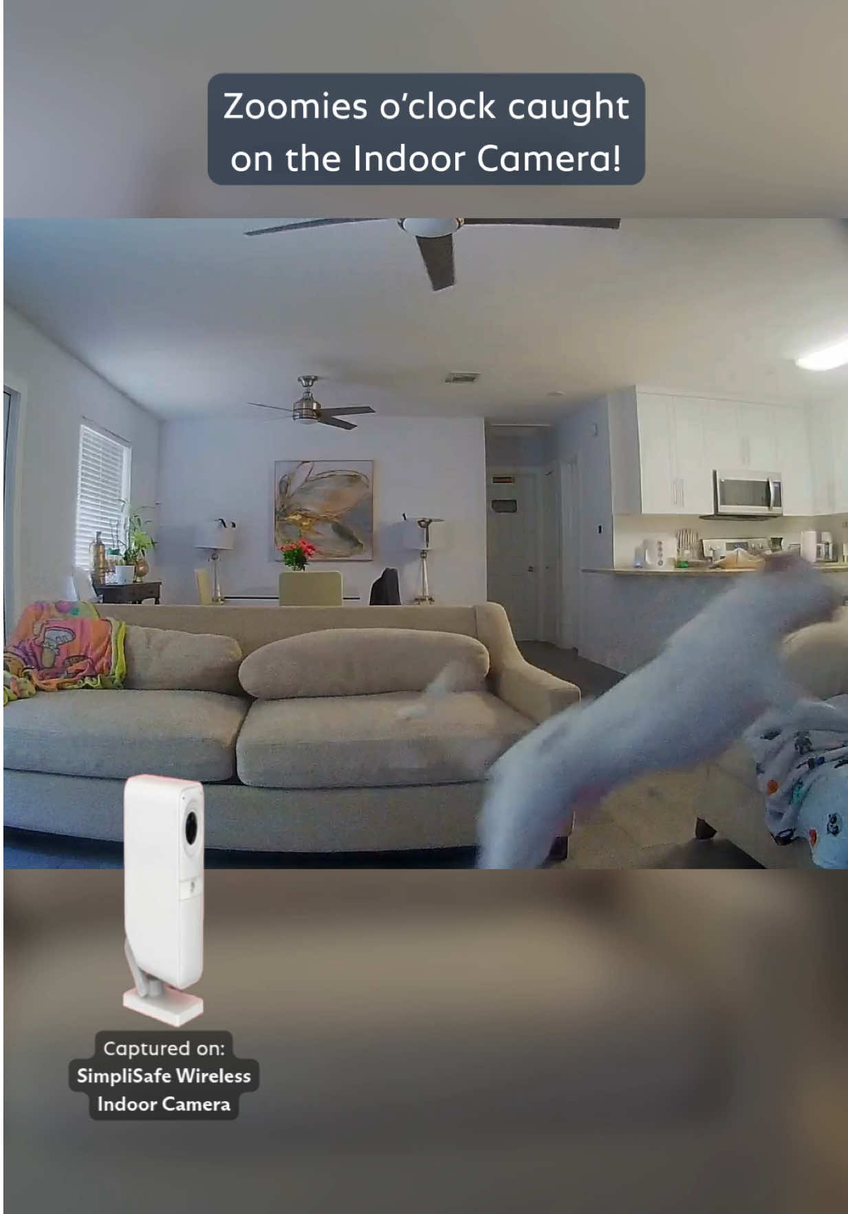 @SimpliSafe Home Security