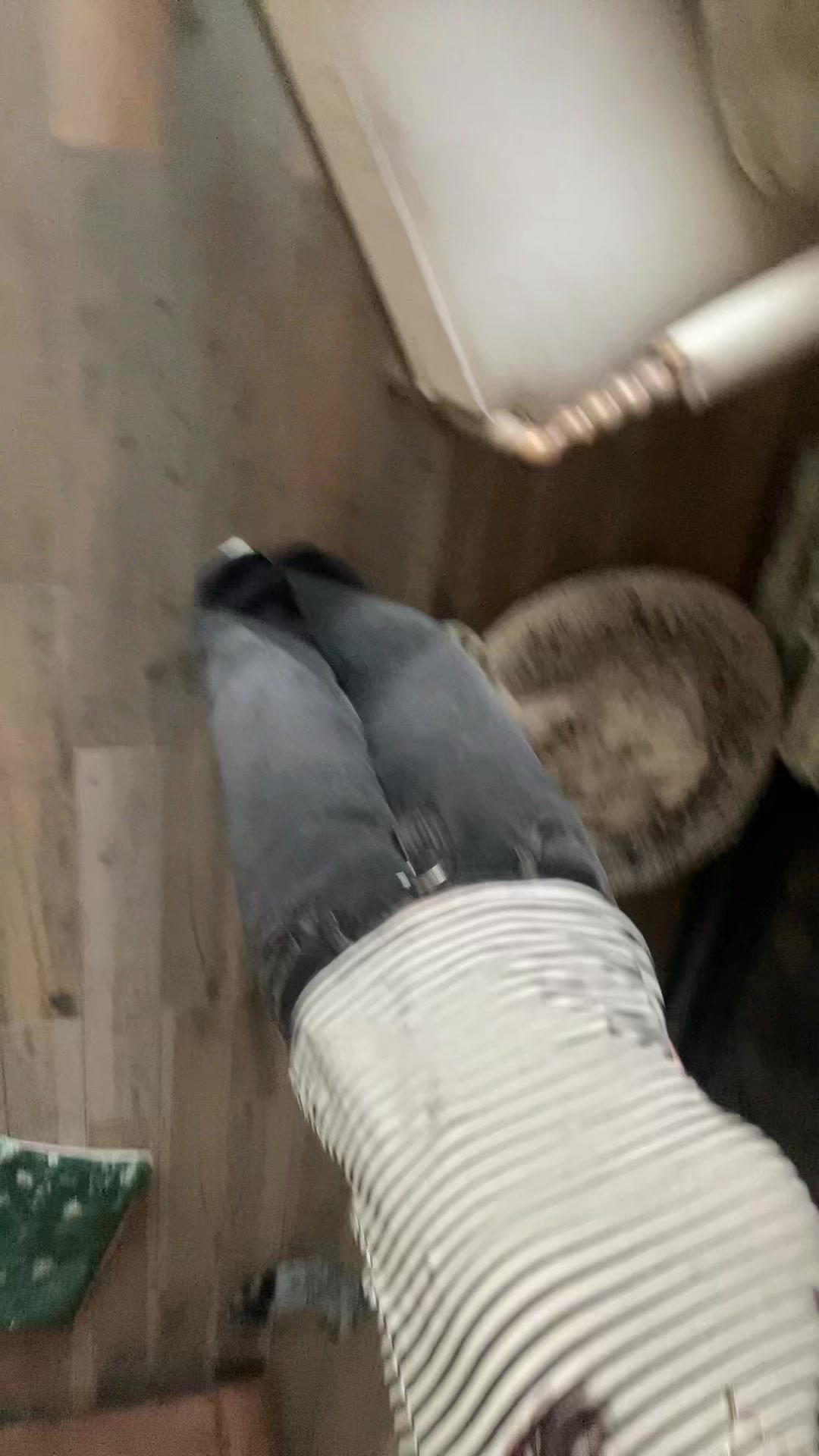 @aylaspam😏