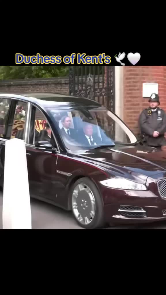 @le Roi👑🇨🇵🇬🇧