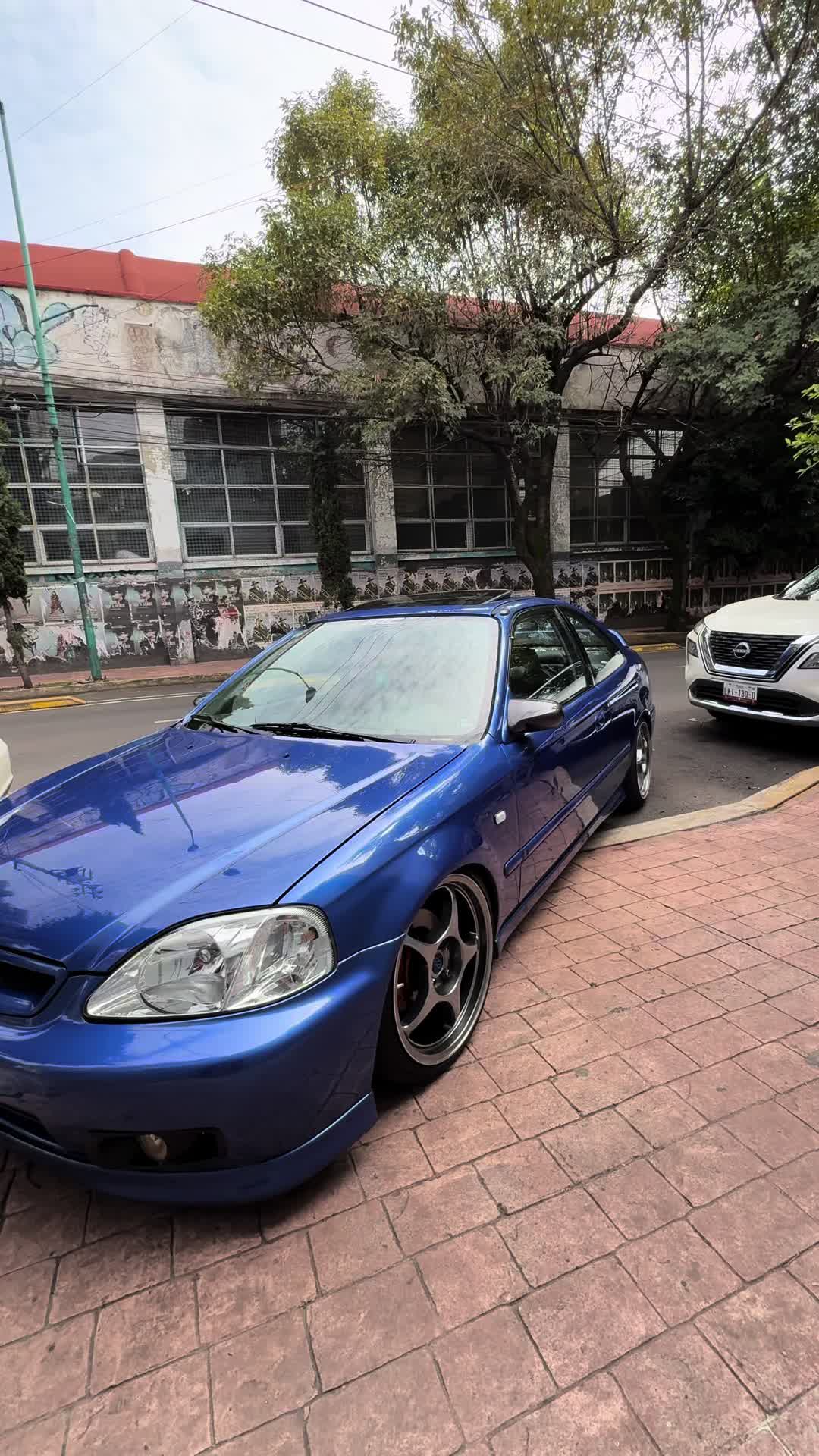 @Rulo 🚙