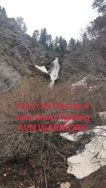 @Lifewithavnsurviving