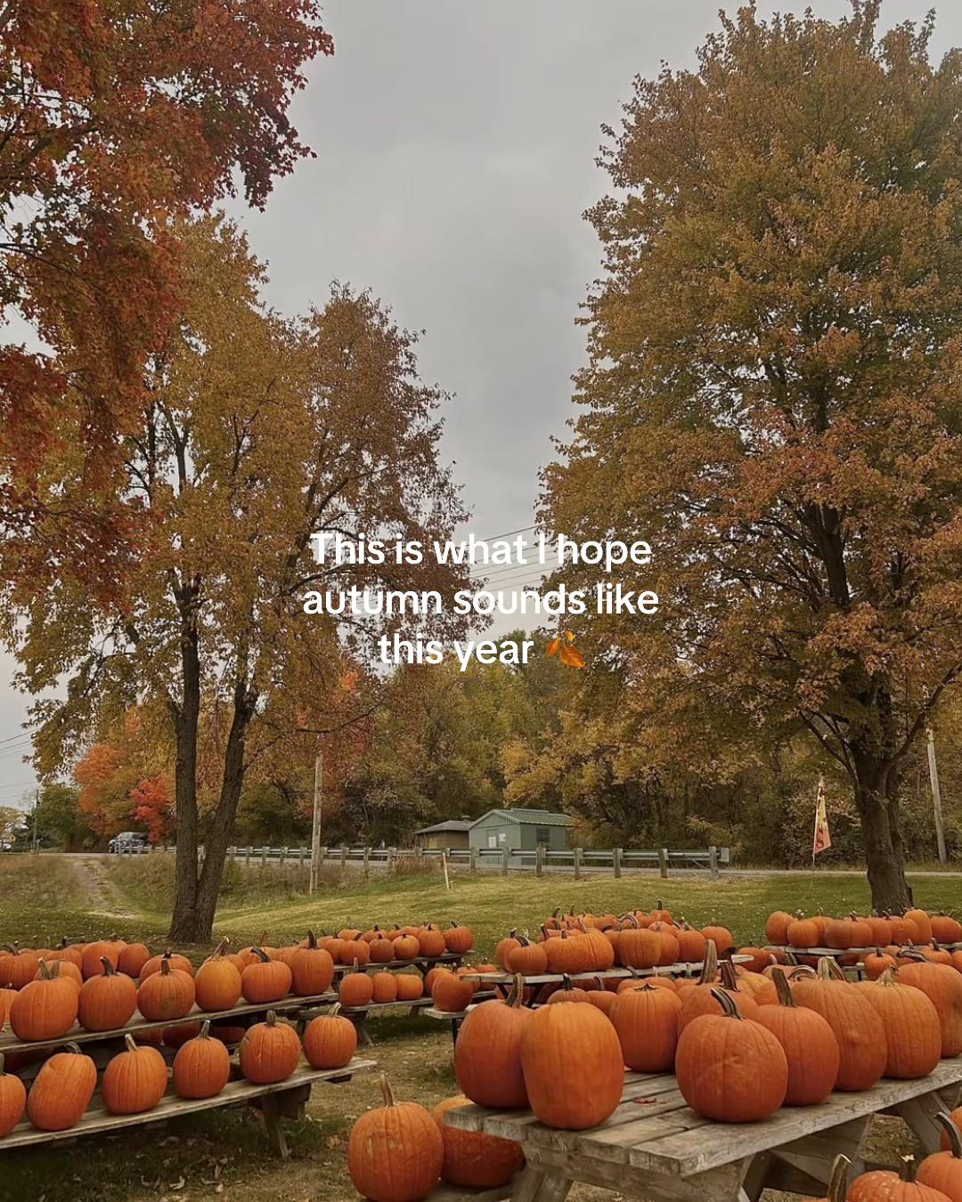 @spookyseasonftw