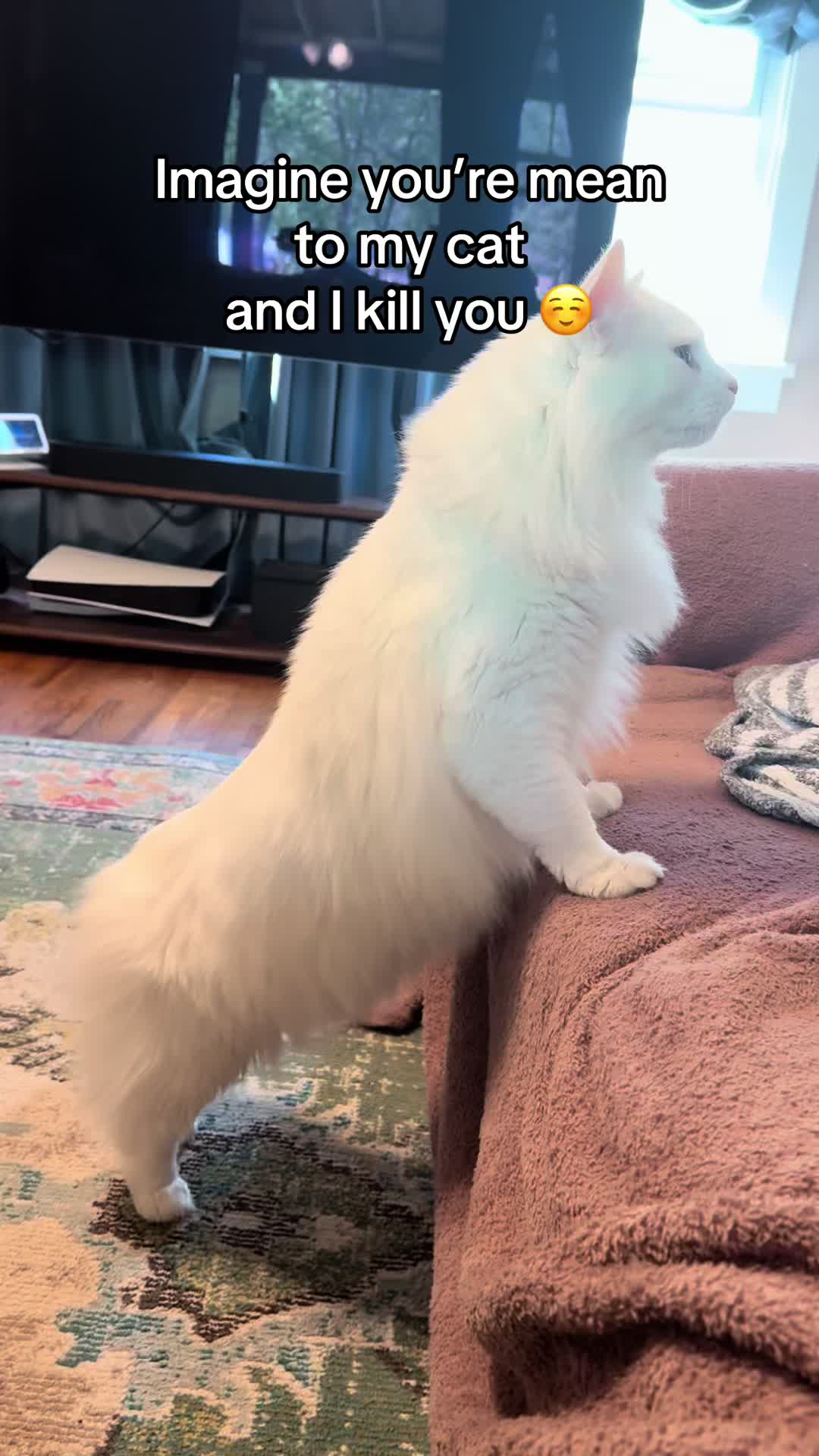 @shelburritosupreme