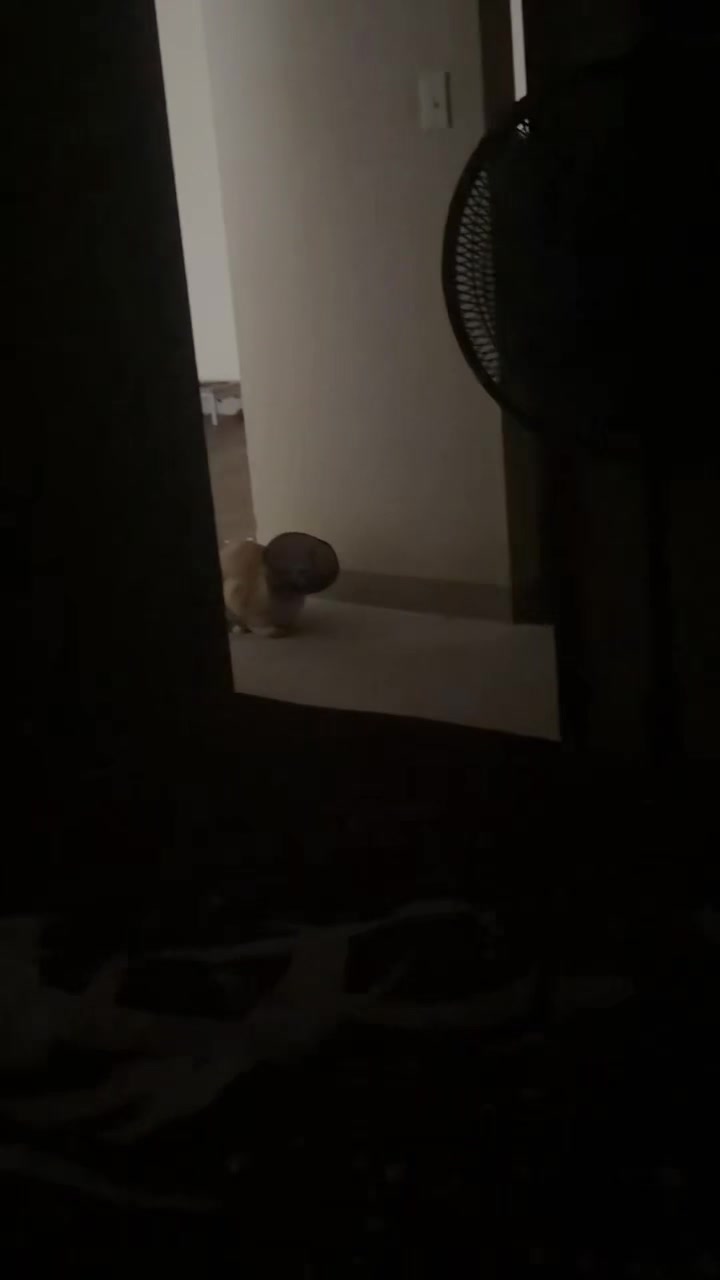 @Ghostly_embrace23