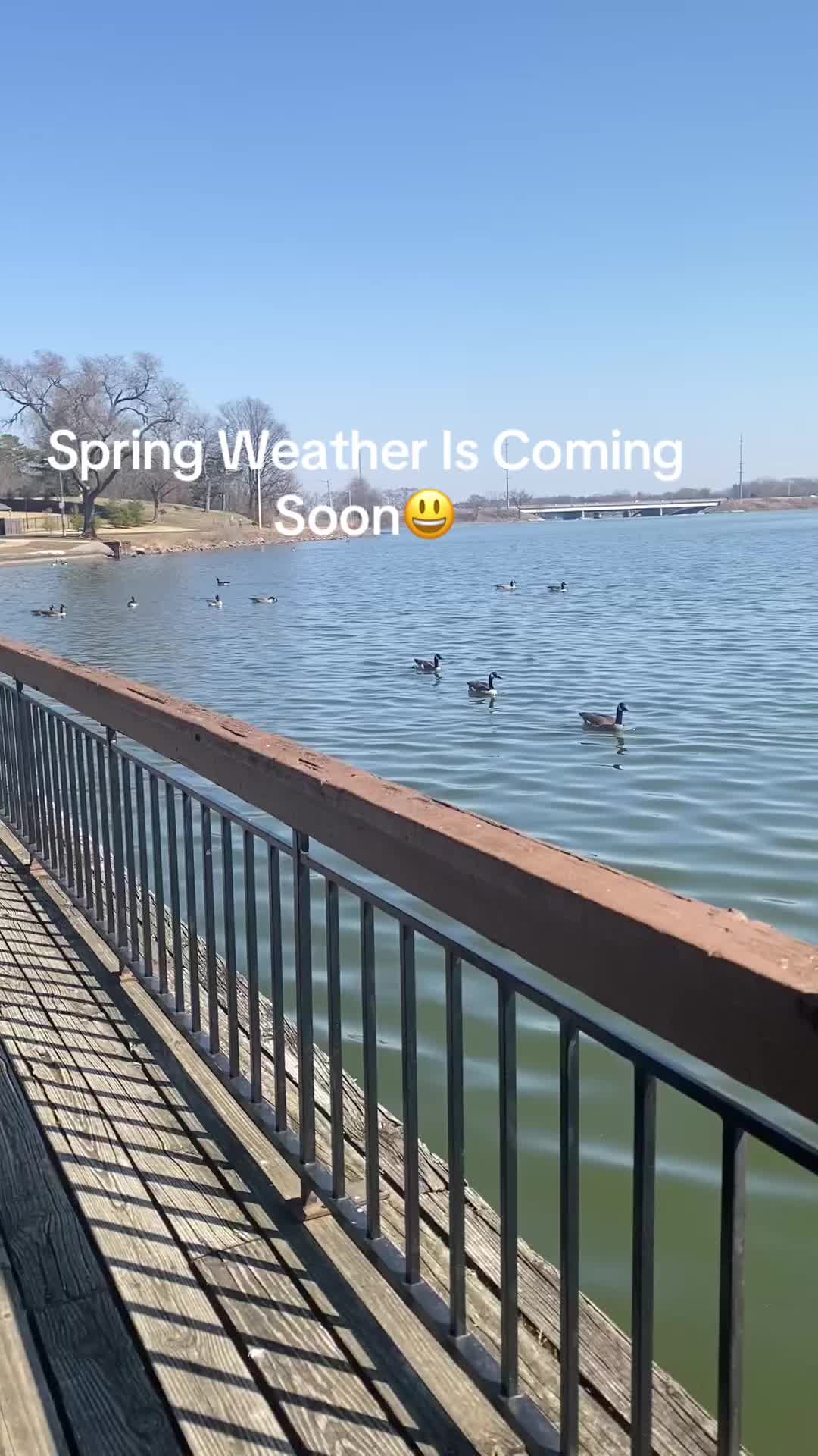 @sincere_sandrah_05