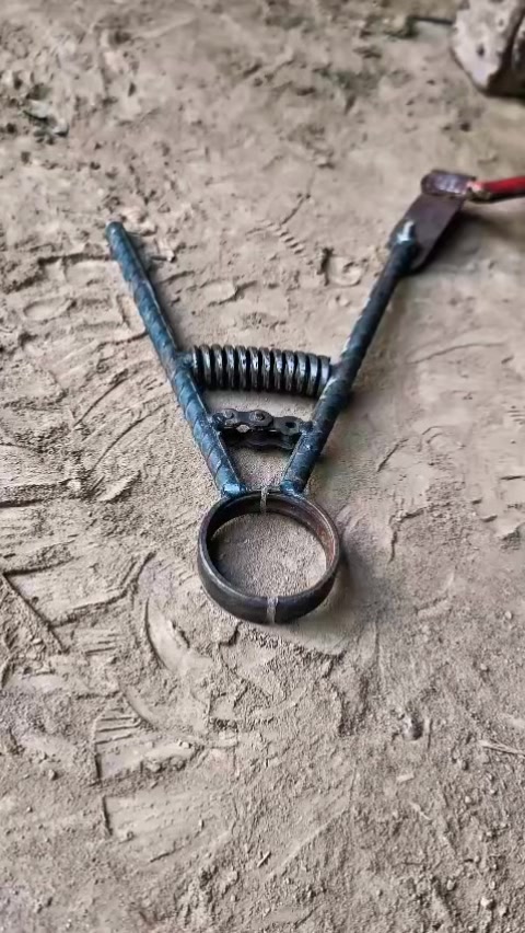 @Munirahmadwelder