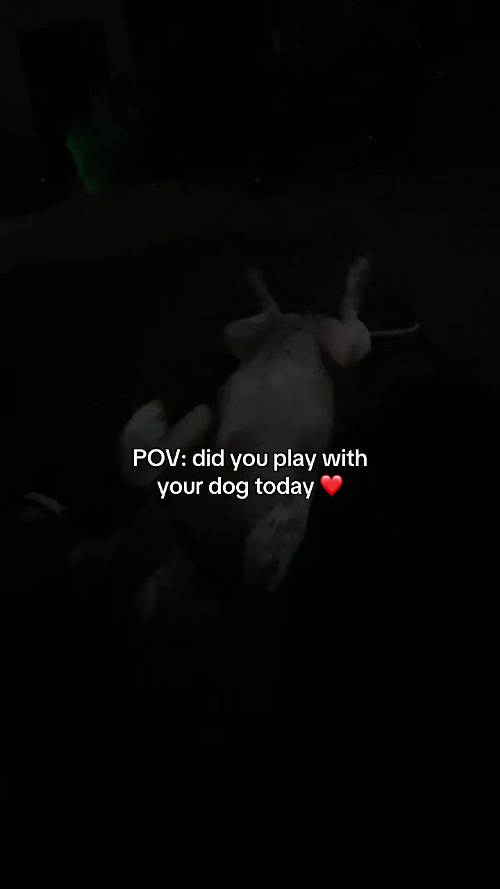 @♈️ 🥱🐐