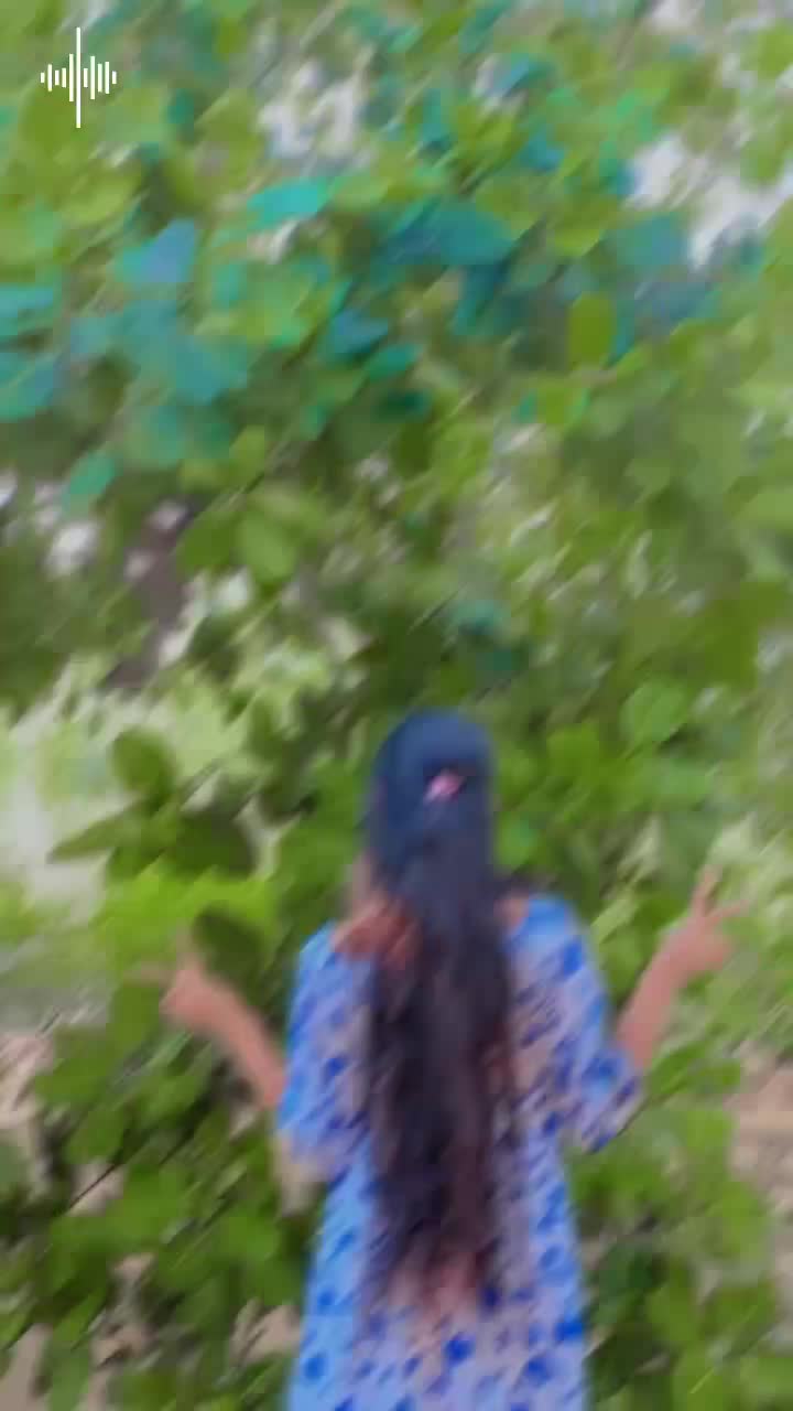 @chuti du