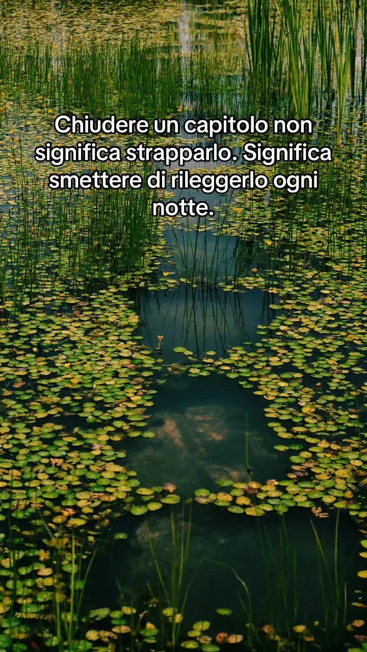 @Fioritura 🌸