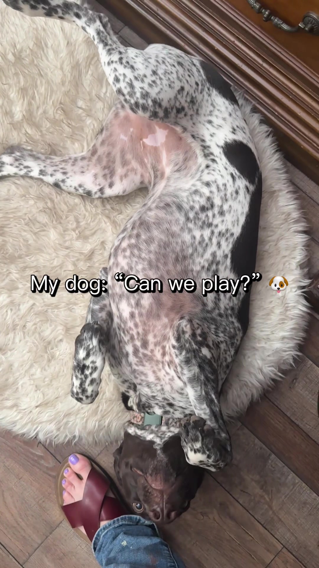 @kolletwharton