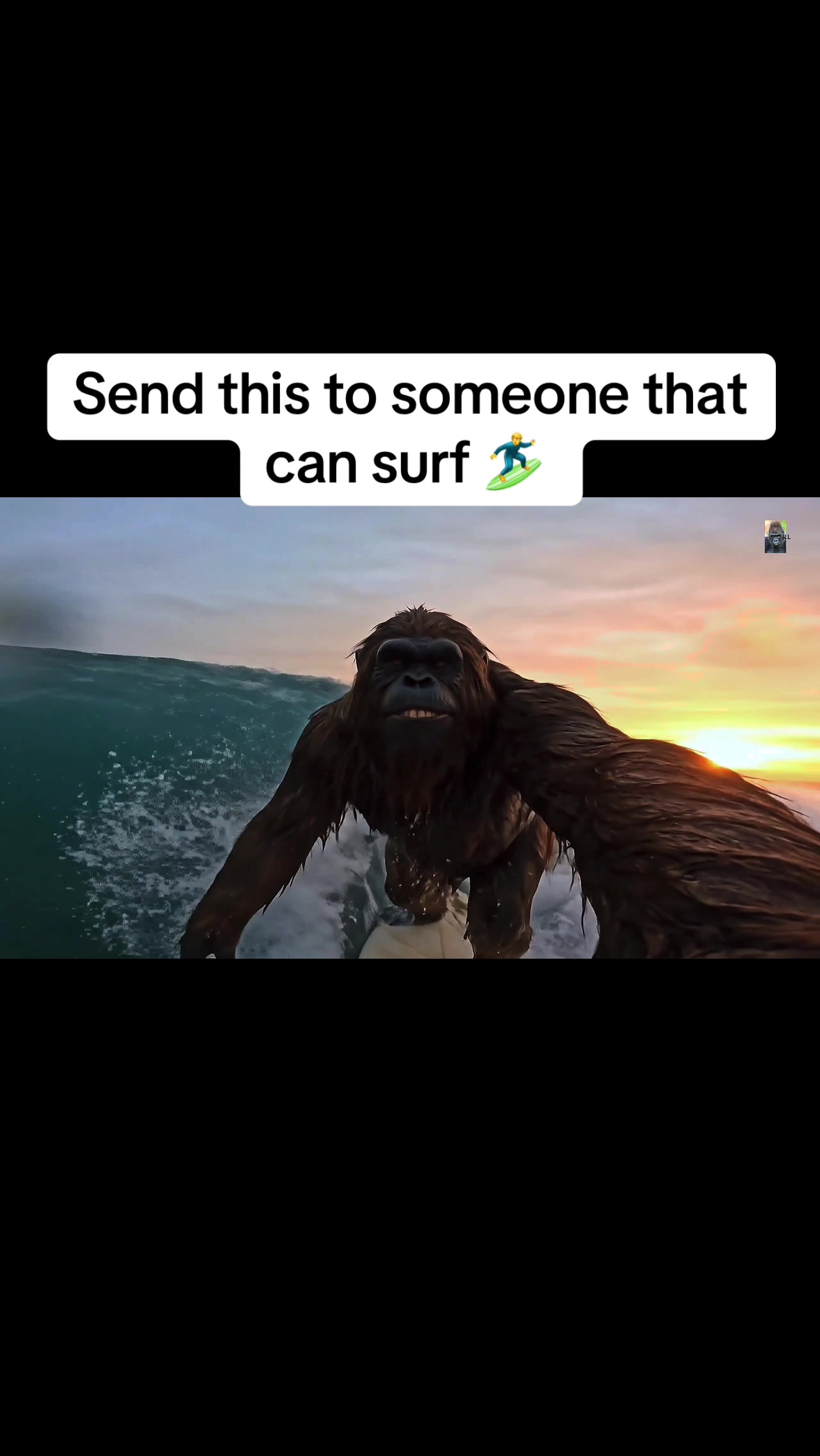 @user58713283948