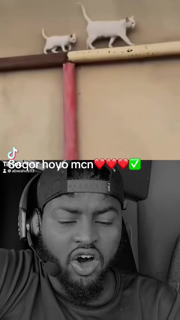 @abwanozil3✅❤️