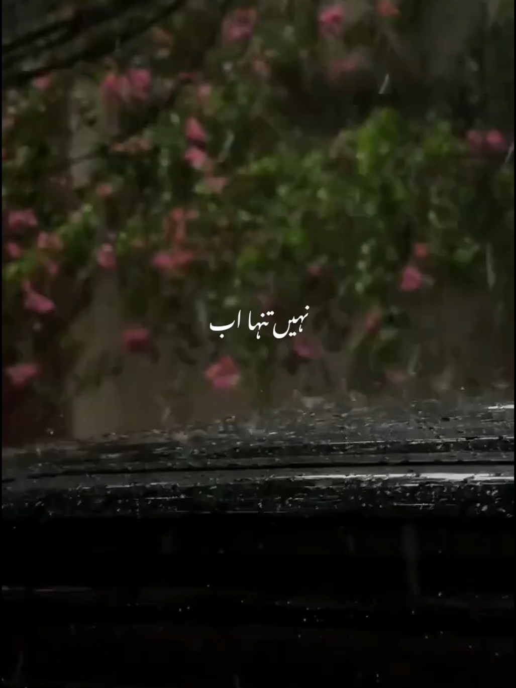 @𝘼𝙐𝙉 𝙓 𝙀𝘿𝙄𝙏𝙕