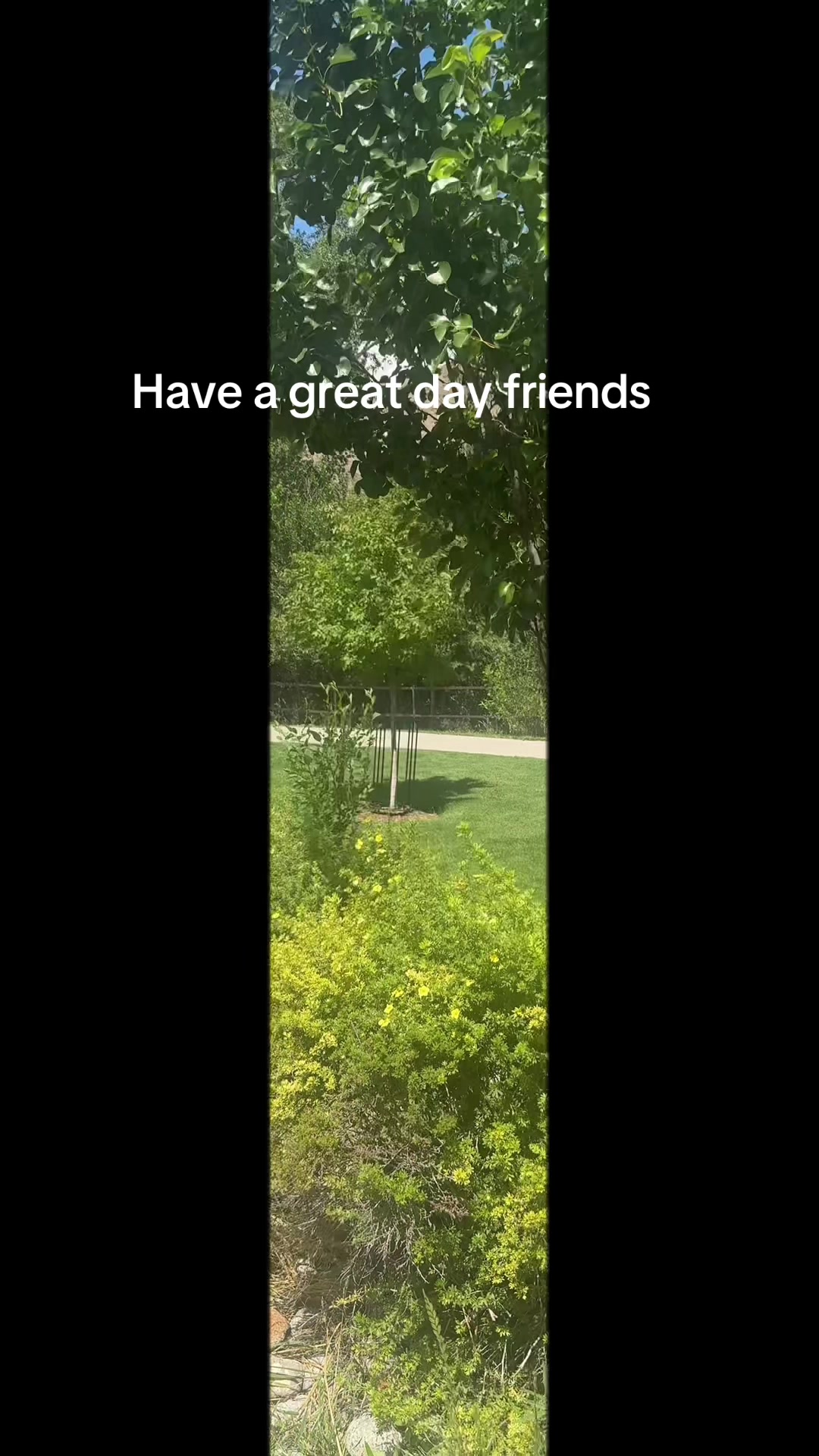 @charlettofcolorado ❌ ❌❌