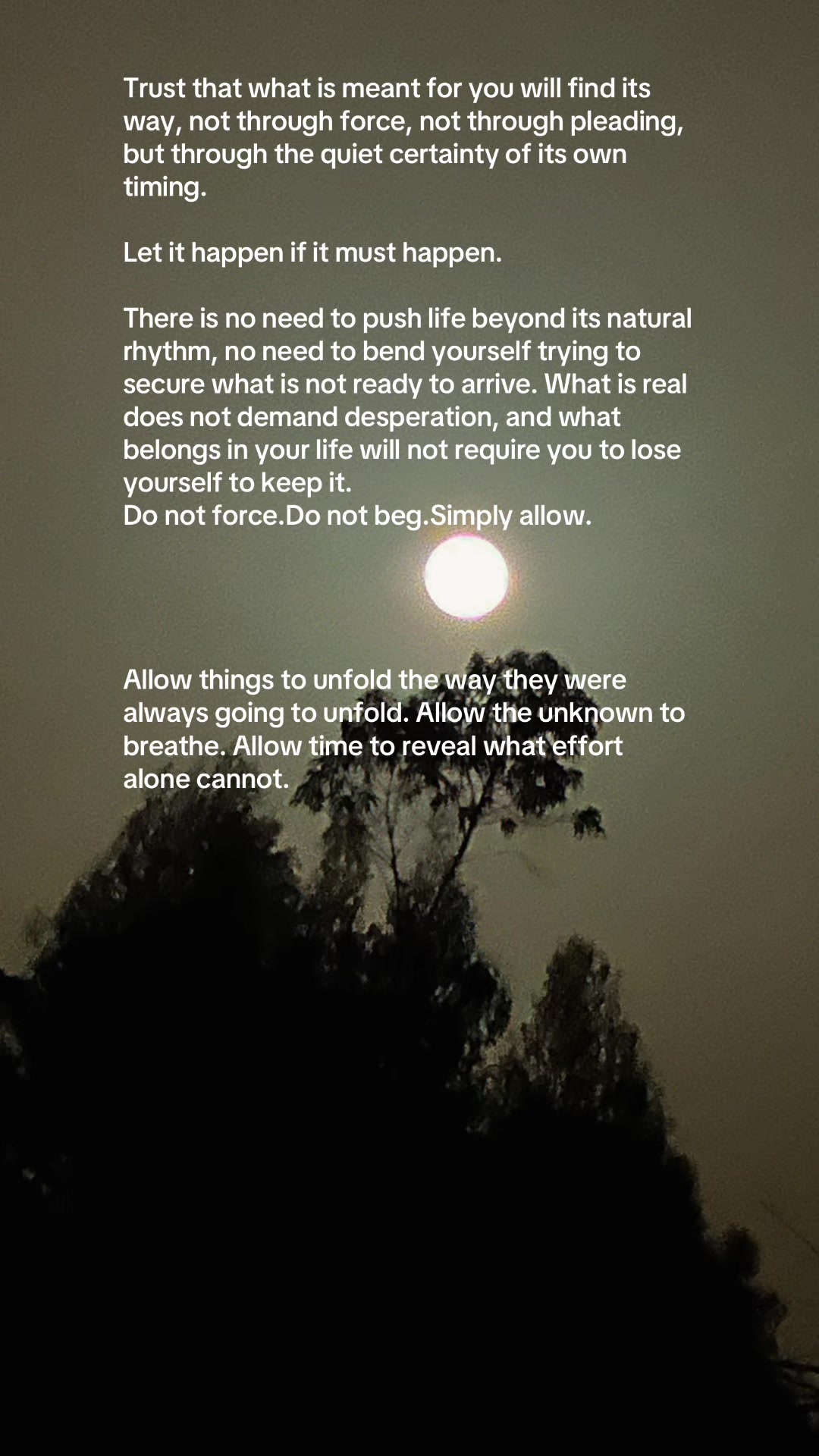 @LifeInWords