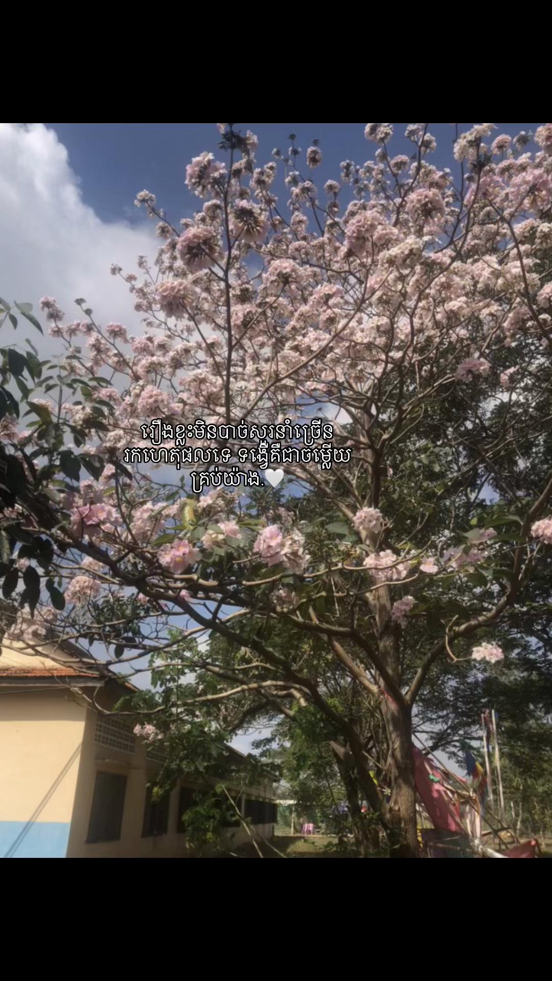 @Ñæ žatøñä{🪐💫}