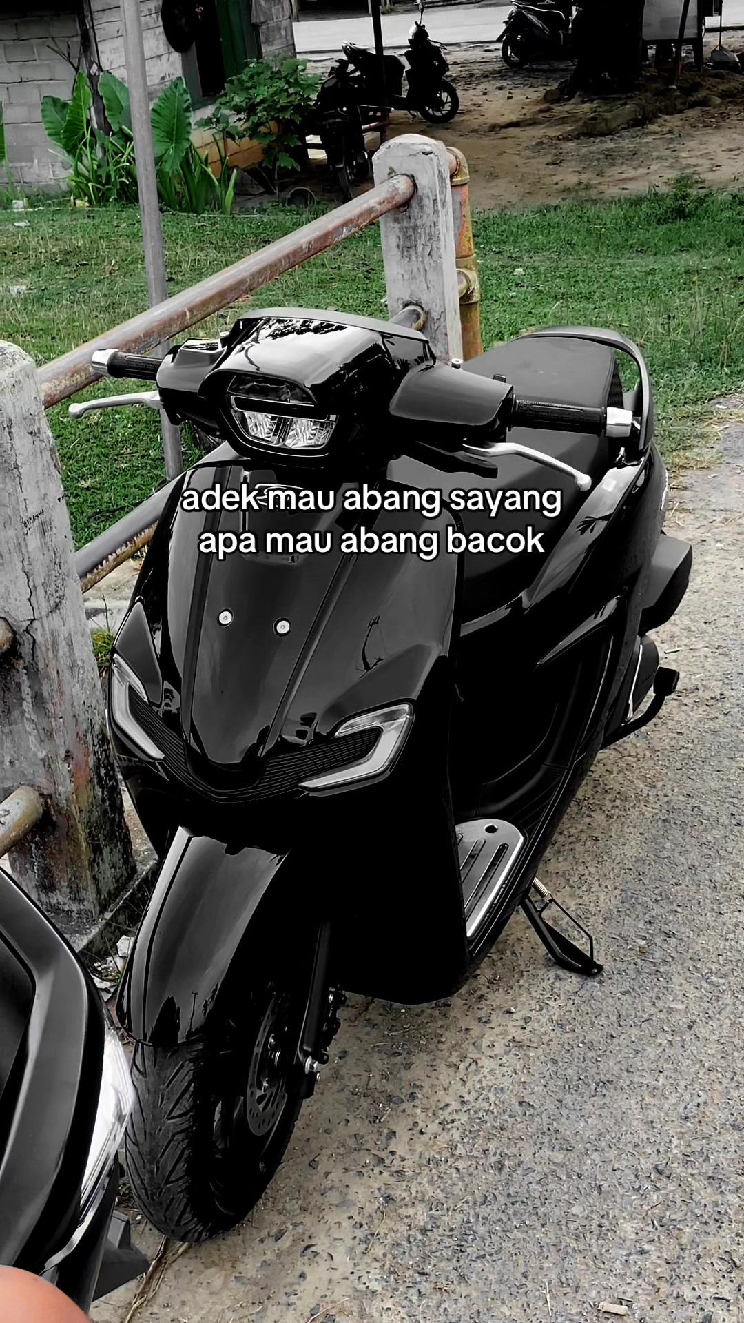 @Black Zoid