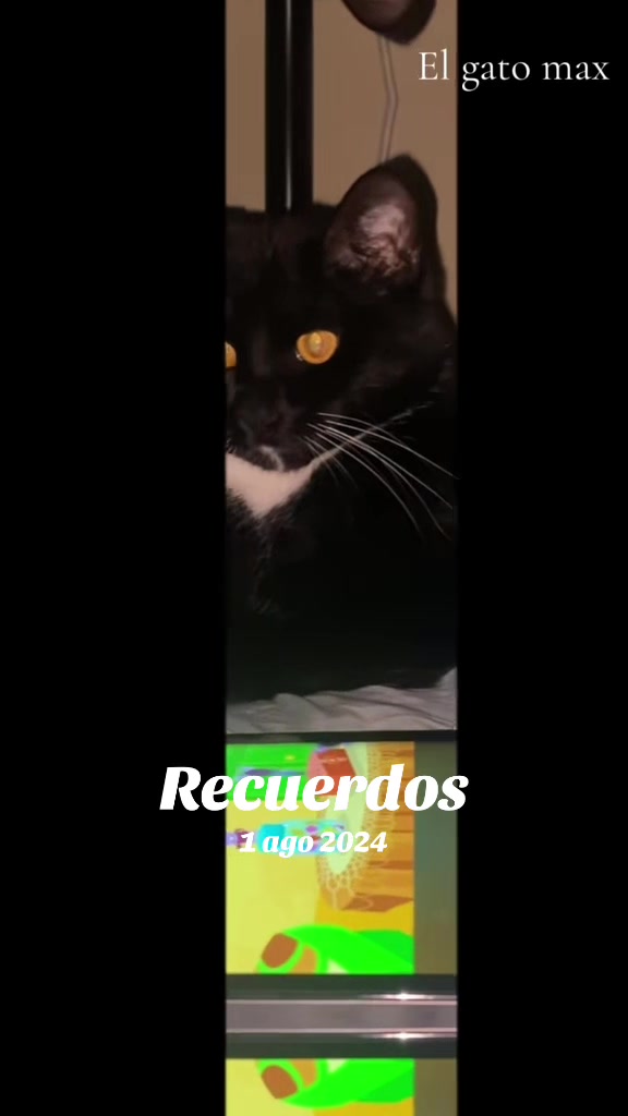 @Norberto Norberto Henríquez