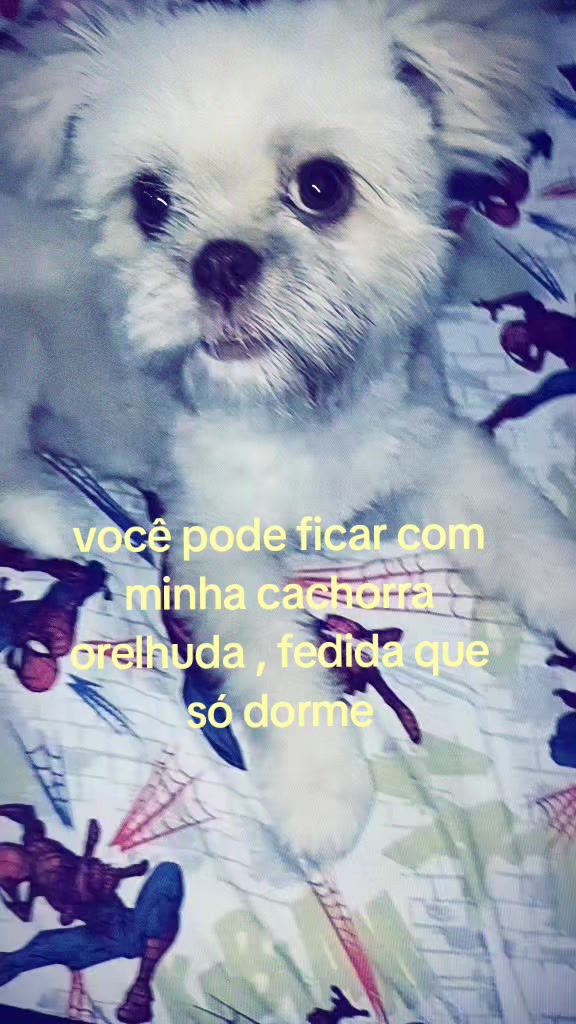 @luh