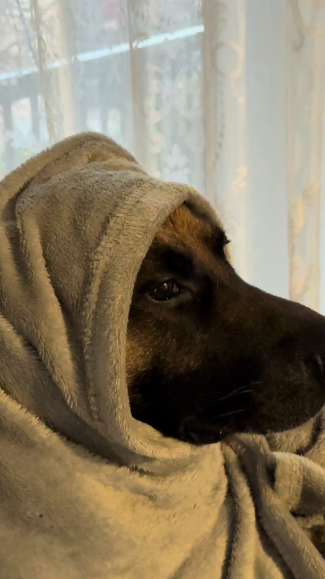 @Martygsd