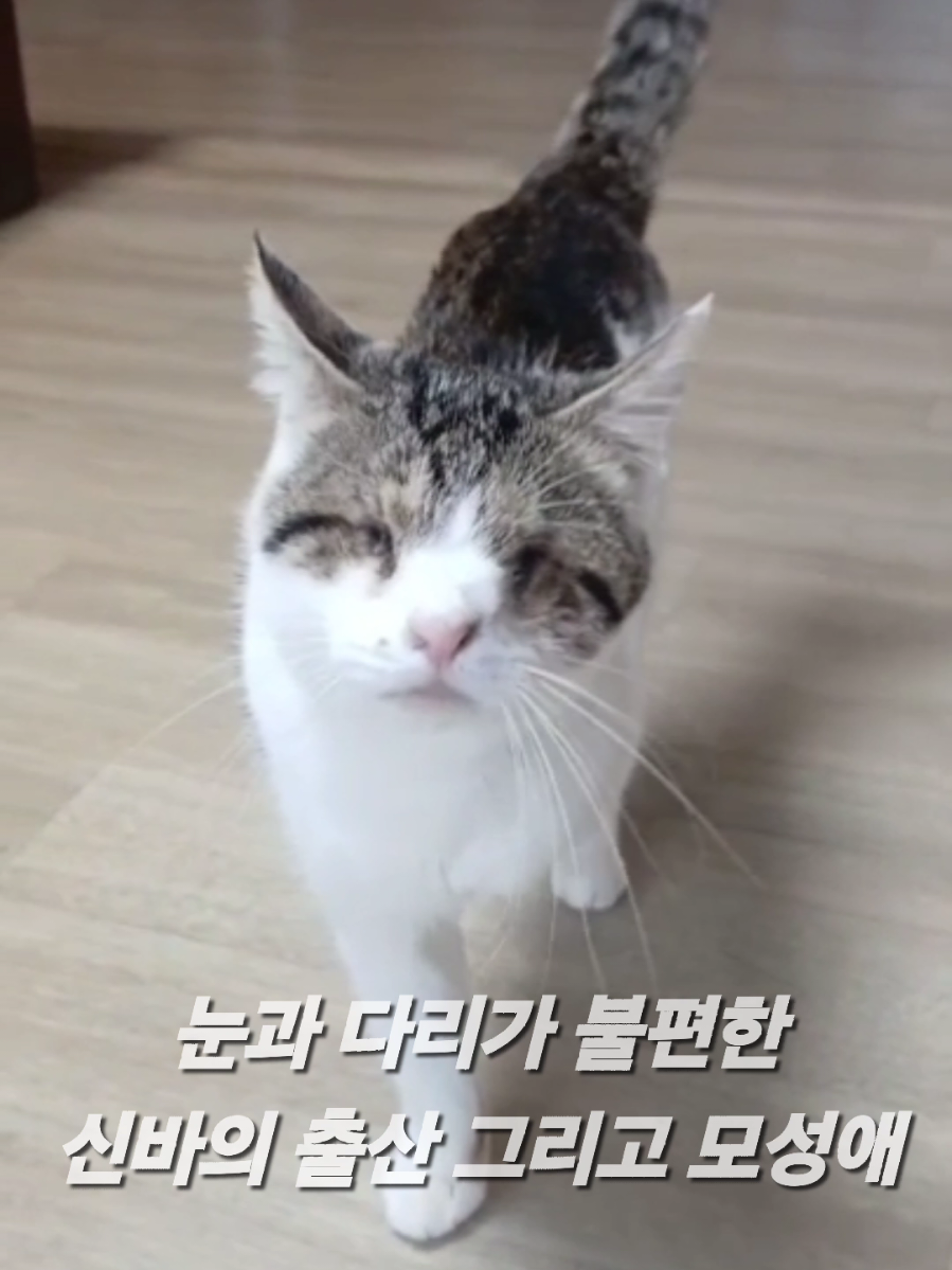 @유튜브 윤파머 납작복숭아