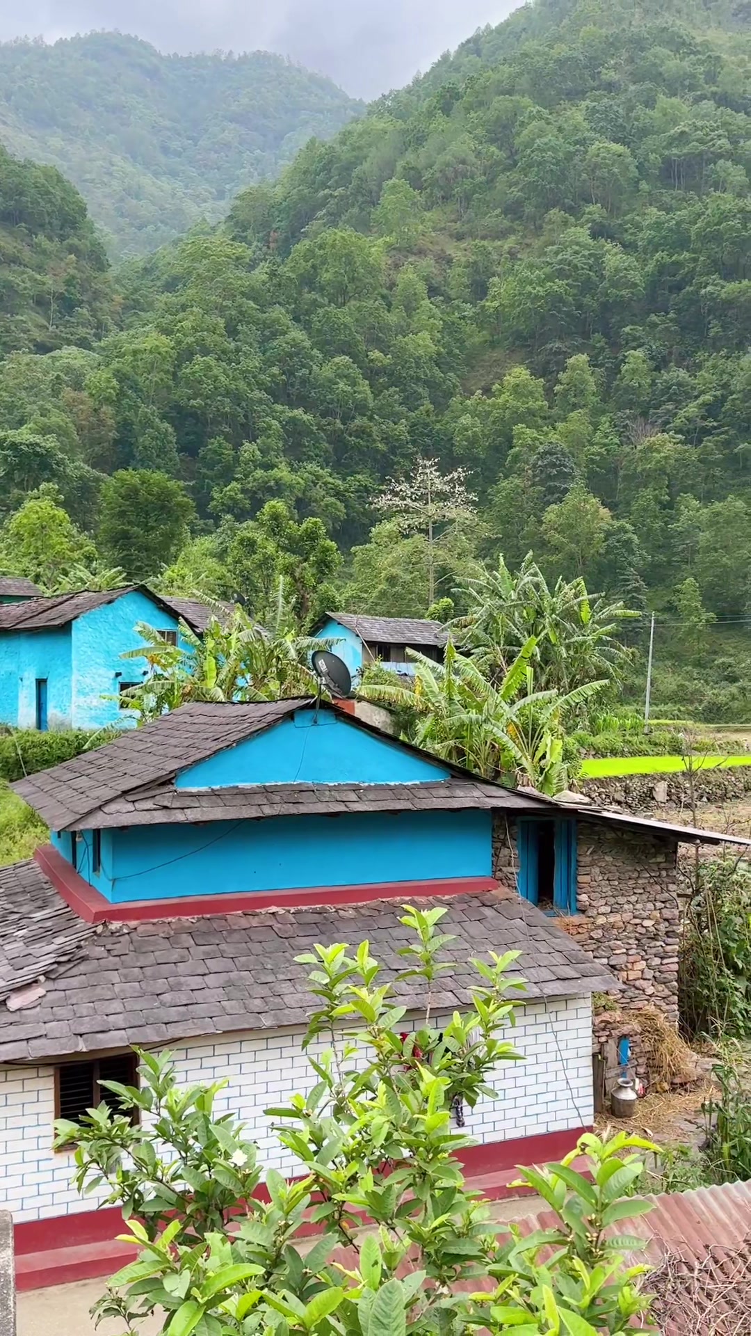 @Baś&ntilde;et B&egrave;&yuml;-lū❤️❤️