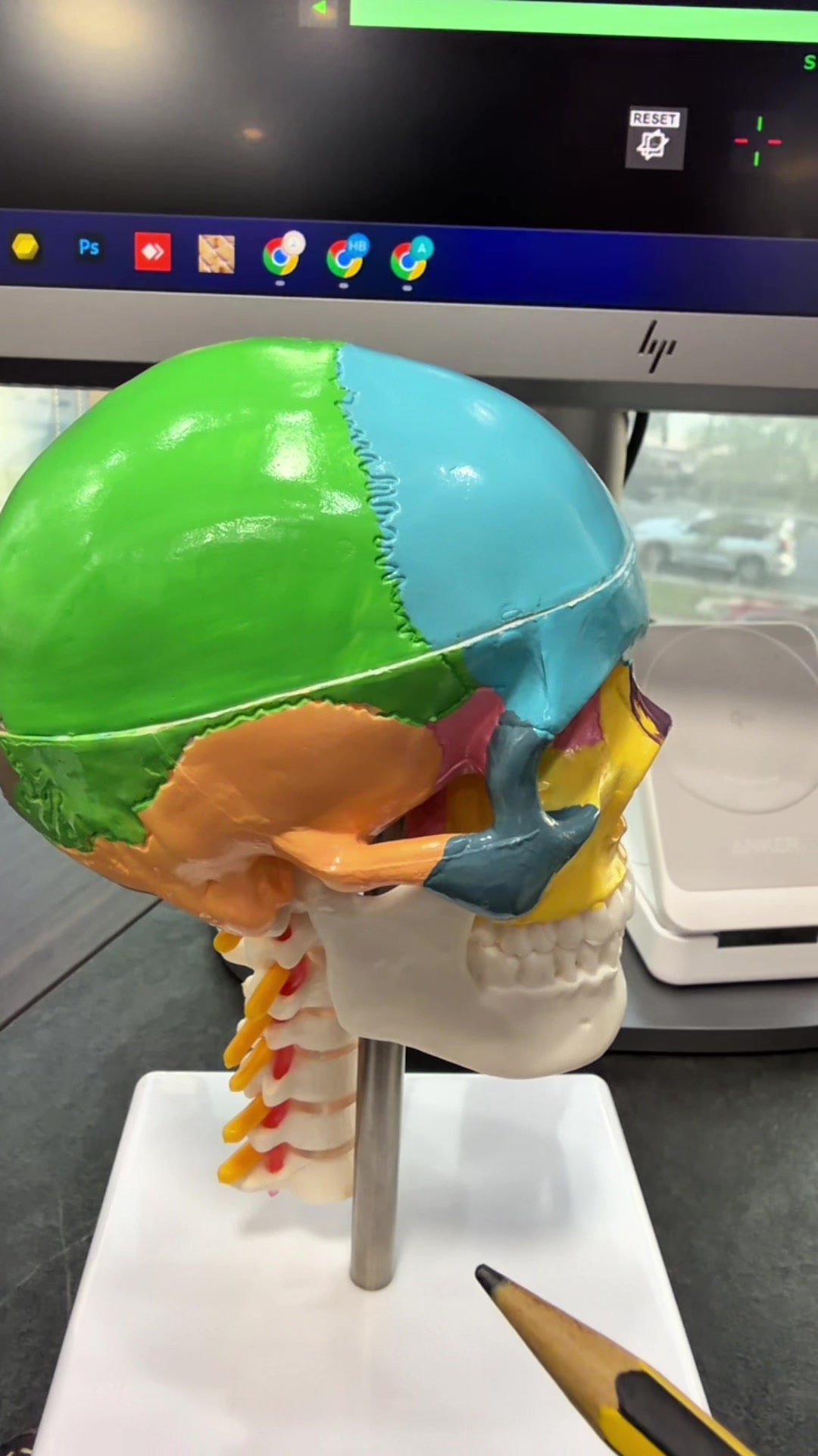 @Dr Aiman Obeid