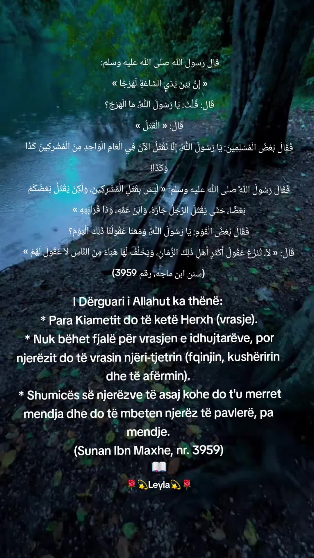 @🌹💫Leyla💫🌹