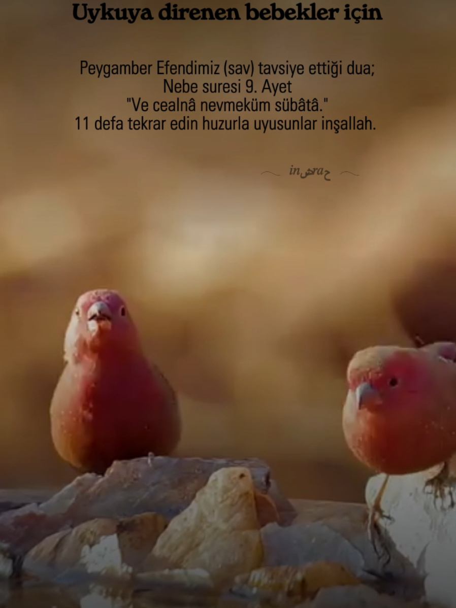 @๐ ๐๐ุดู๐๐ุญ ๐