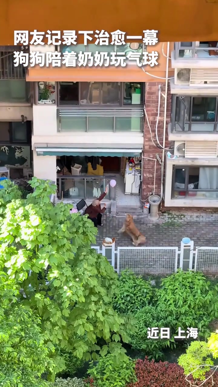 @中国蓝国际
