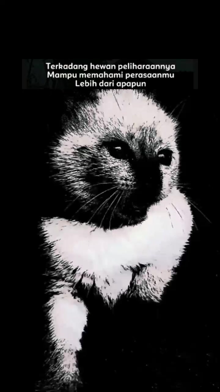 @𝐙&alpha;𝒾ℕ🐾