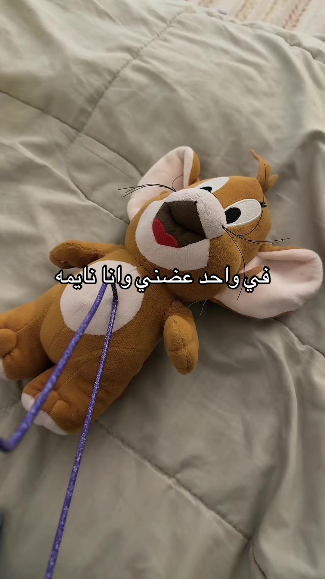 @Rova