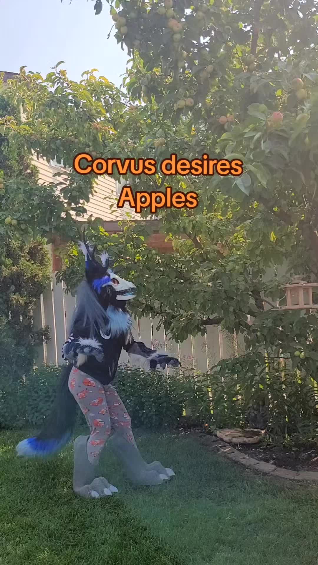 @CorvusFox
