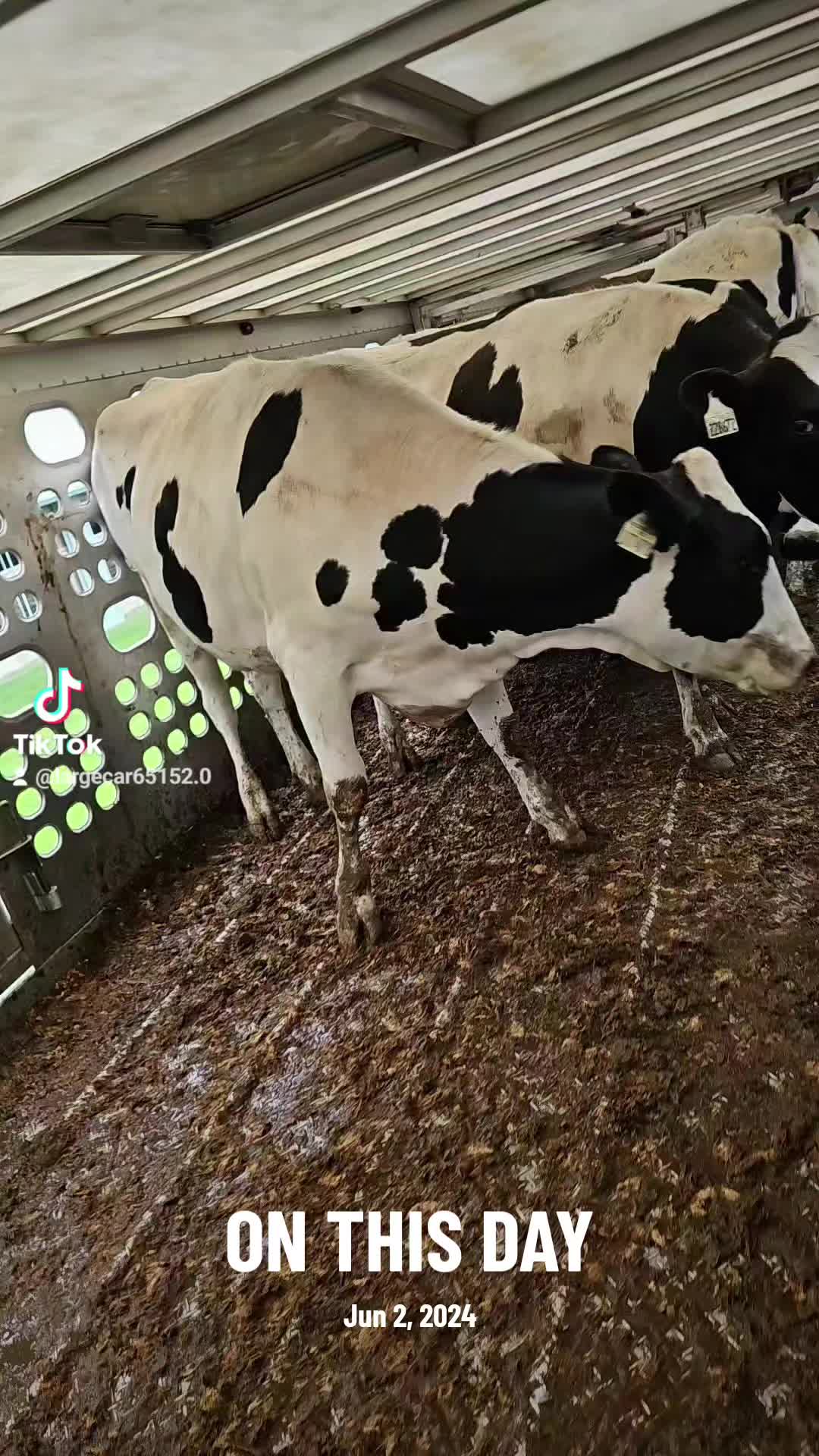 @largecar2.0