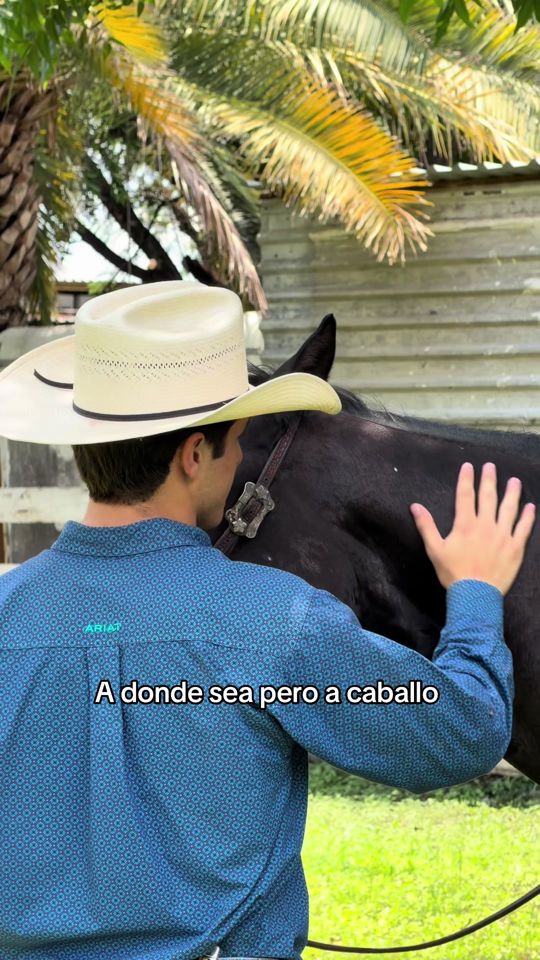 @Witto González